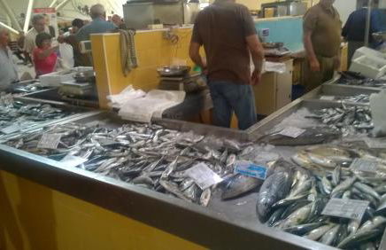 Garden Apartment Quinta do Morgado - Foto 31