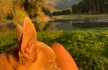 Petit chalet 40 m2 en Ubaye BARCELONNETTE - Foto 18