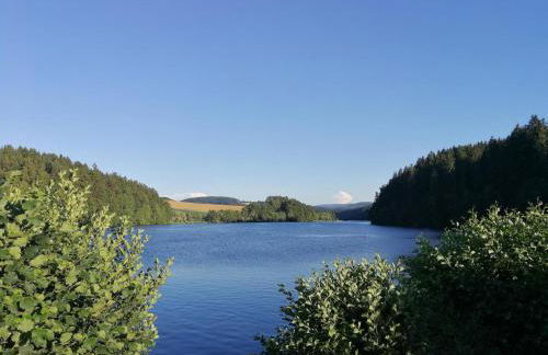 Waldheimat - Photo 31