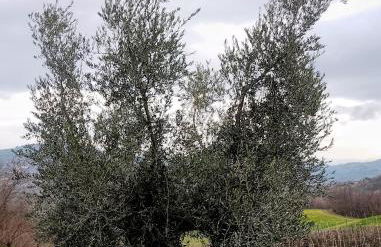 Agriturismo La Vecchia Fontana - Photo 60