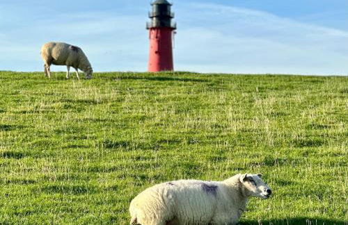 Perle auf Pellworm - Foto 16