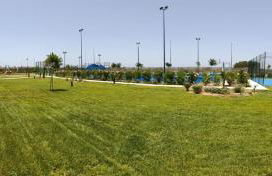 Malvagon Isla Canela los flamencos - Foto 27