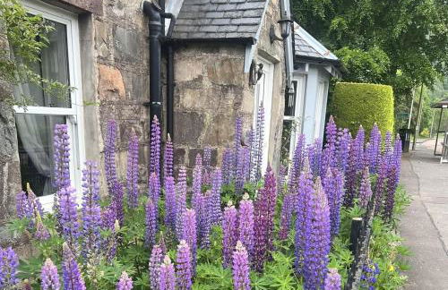 Glenalbyn Cottage - Photo 25