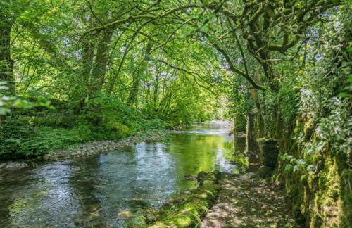 Airton Mill - Foto 17