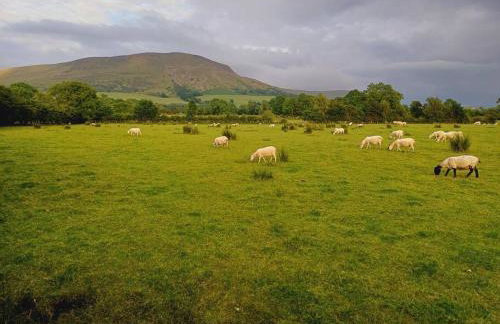 Peartree Cottage - Foto 33