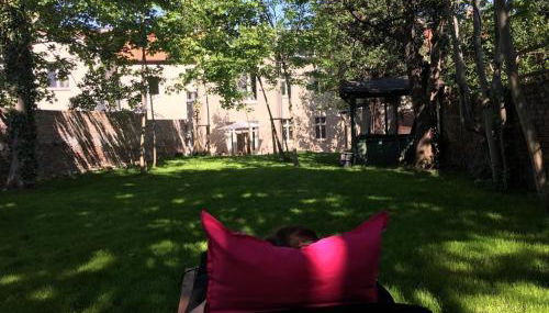 JETHON Studio-Appartement im Grünen - Foto 5