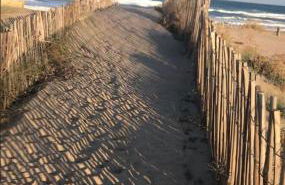 Mas PineII 2 - Viu Bé - Foto 23