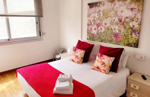 Amplio piso próximo a la Catedral y el Camino. C2 - Photo 6