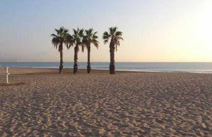 La Xaquera - Foto 26