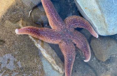 Ivy Tower Cottages - Foto 29