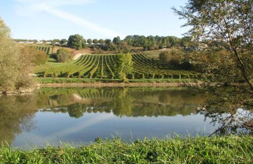 Limerac Child Friendly Farmhouse - Foto 6