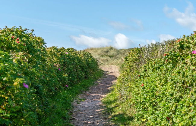 "Anne" - 100m from the sea - Foto 8