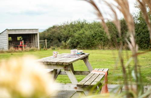 Dolphin Lodge - Photo 20