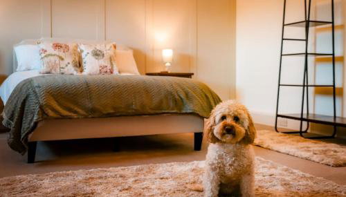 Old Orchard Cottage - Foto 1