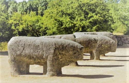 GREDOS RURALRUT cerca del CASTAÑAR de El Tiemblo, Reserva Natural VALLE DE IRUELAS, alojamiento acogedor con cabina hidromasaje, chimenea eléctrica, calefacción, wifi, cocina - Photo 10