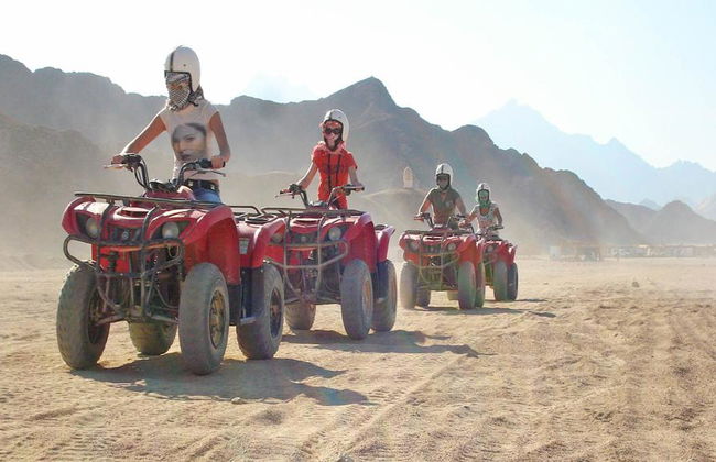 Mega Safari com Almoço - Tour de Dia Inteiro - Foto 5