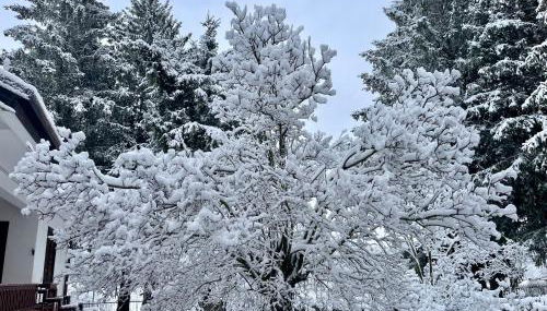 Chalet dell'Orso - Foto 5