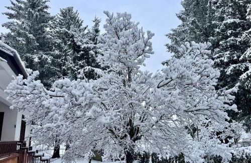 Chalet dell'Orso - Foto 5