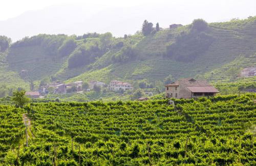 Agriturismo Il Follo - Foto 35