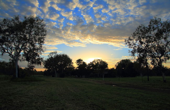 Berry Creek Bush Retreat - Foto 23