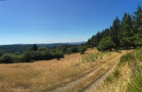 Sunnesching - Foto 20