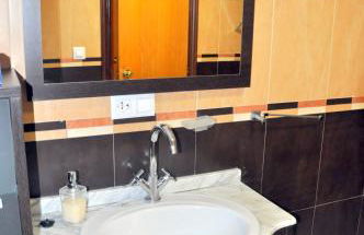 Flamenco I - Photo 18