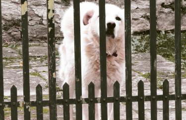 Villa Tommasini La torre - Foto 18