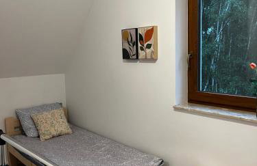 Szyszki i Motyle - Photo 12