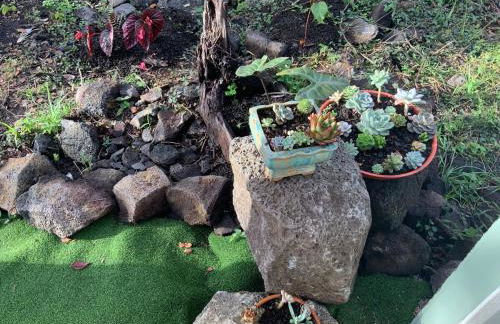 Majestic Banya tree cabin - Foto 35