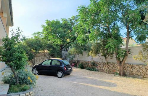 Apartmani Milena - Foto 62