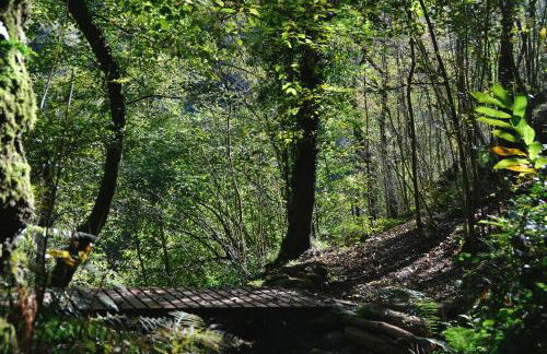 OASI LIGNANA Country Chic Apartments, nestled in a 40-hectare estate - Foto 16