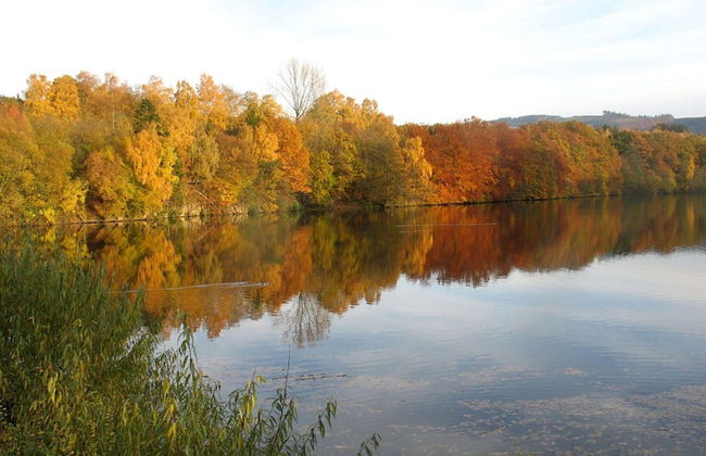 Holiday Home in Mielinghausen Near ski Area - Foto 24