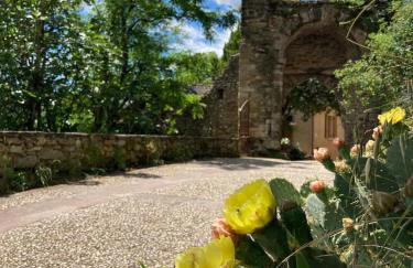 Lou Cambrou - Photo 13