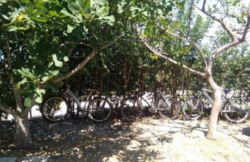 Stan&Family - Foto 8