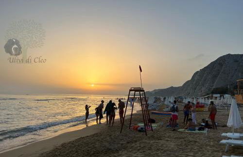 Ulivi di Cleo - Foto 56