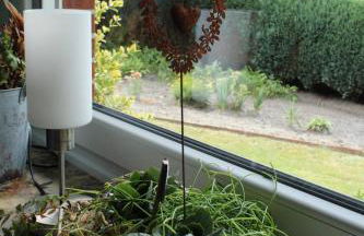 Fewo Gerda Gerdes - Foto 35