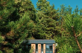 Otulina Błonie - Foto 17