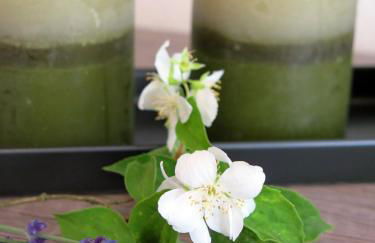 Roosartige Ferien - Ferienwohnung am Weiherturm - Photo 10