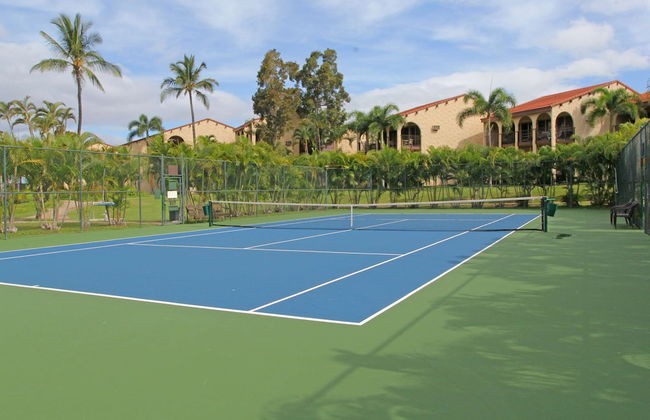 Aston Maui Hill - Photo 65