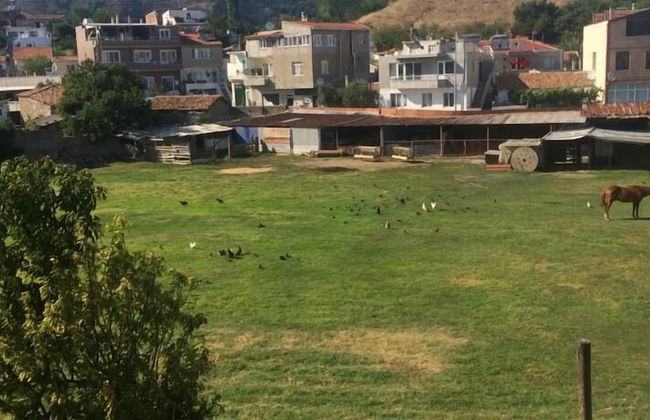 Balci Apartment - Foto 14