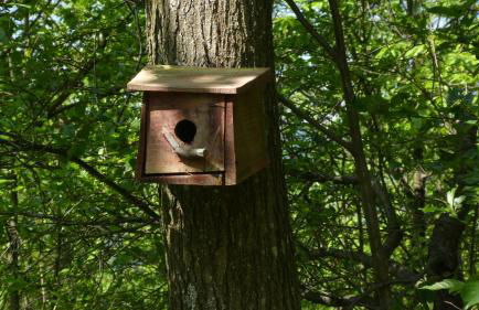 Cascina Marasca Appartamento Sole - Foto 38