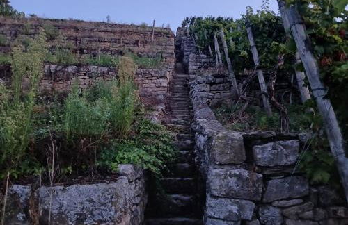 Weinbergblick - Foto 5