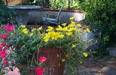 Villa Artemisia - Foto 20