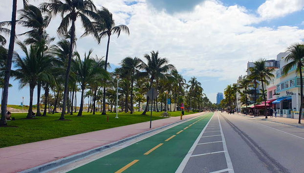 Miami Beach Free Tour - Photo 2