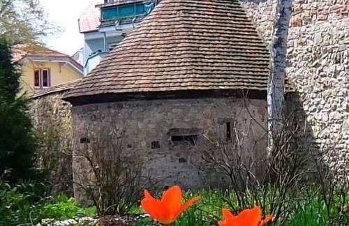 Ferienwohnung Silvia - Foto 46