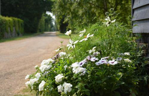 The Gig House, Stowupland - Foto 10