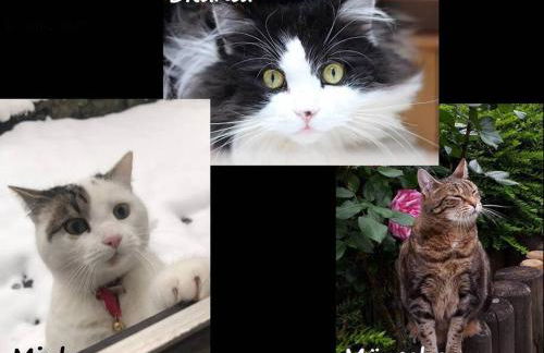 Wohnung zum Wohlfühlen beruflich und privat - Foto 18