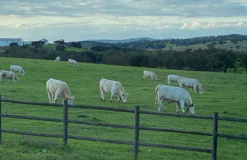 Casa Bendi - Foto 31