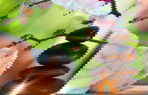 Gites du Domaine de Vandenesse & Spa - Foto 26