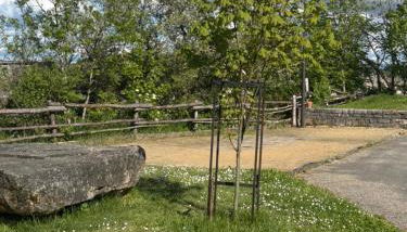 Gite De Charme Caussenard - Foto 5